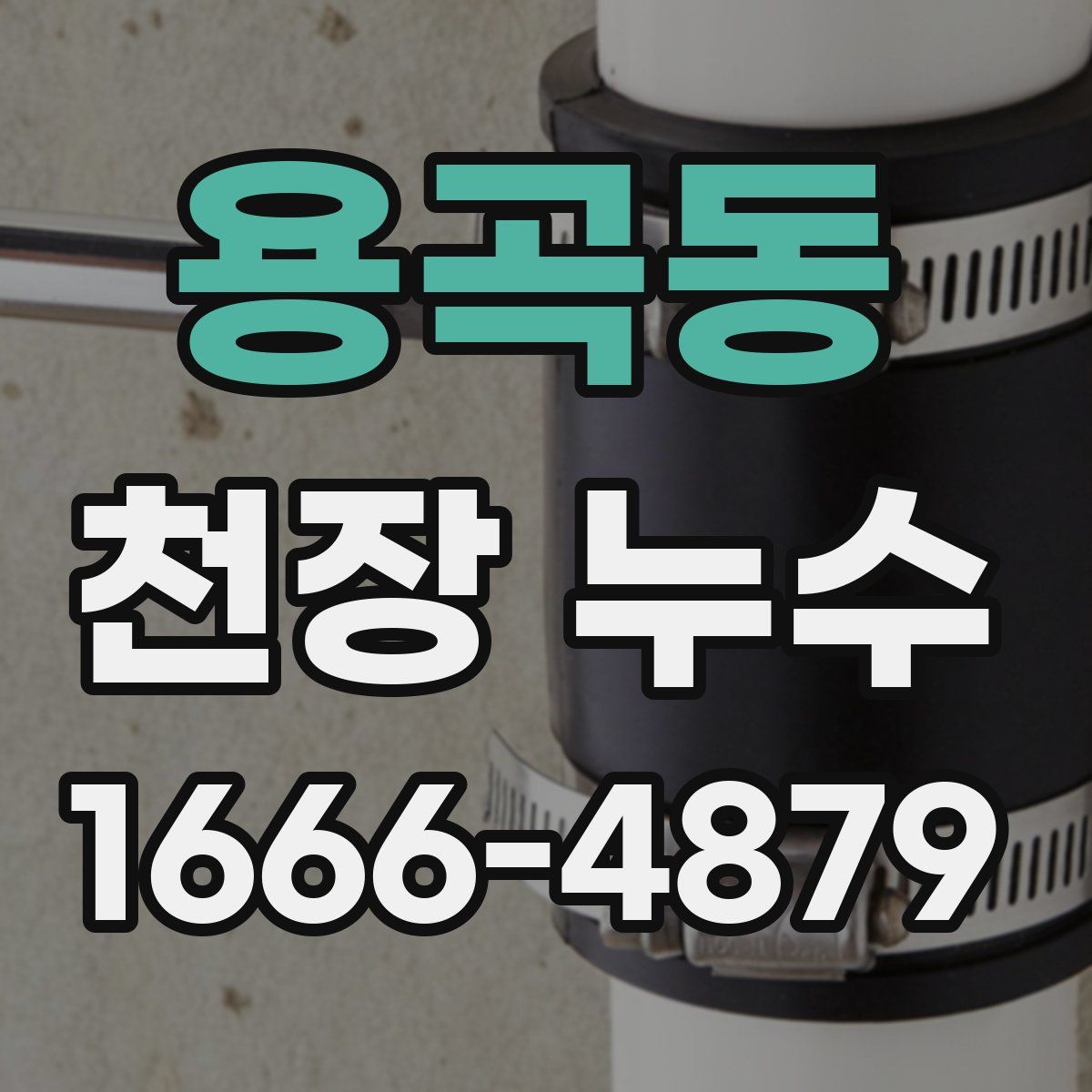 용곡동 천장 누수