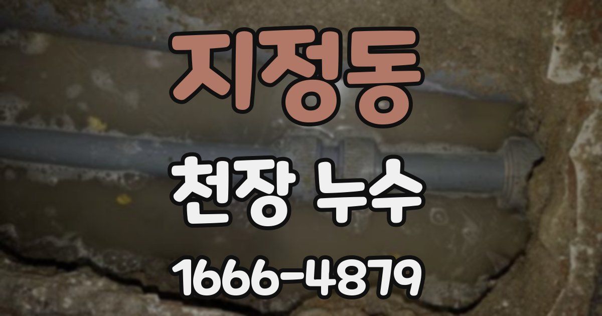 지정동 천장 누수