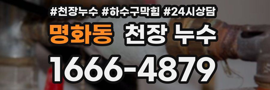 명화동 천장 누수