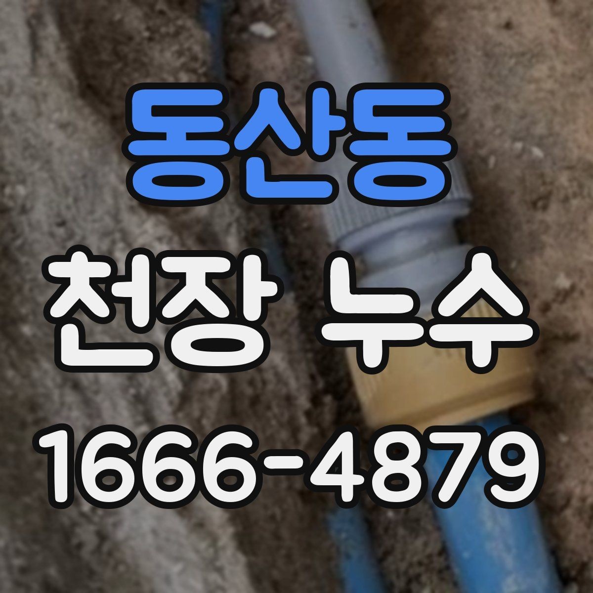 동산동 천장 누수 환기해도 계속 젖는 천장, 원인 점검