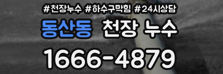 동산동 천장 누수