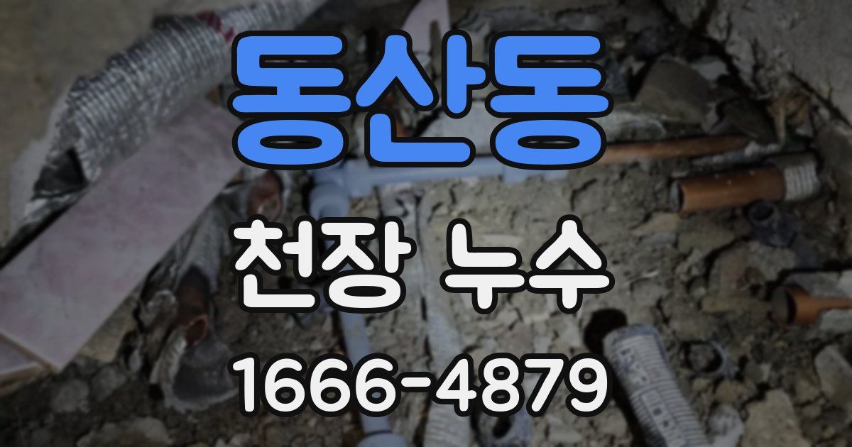 동산동 천장 누수