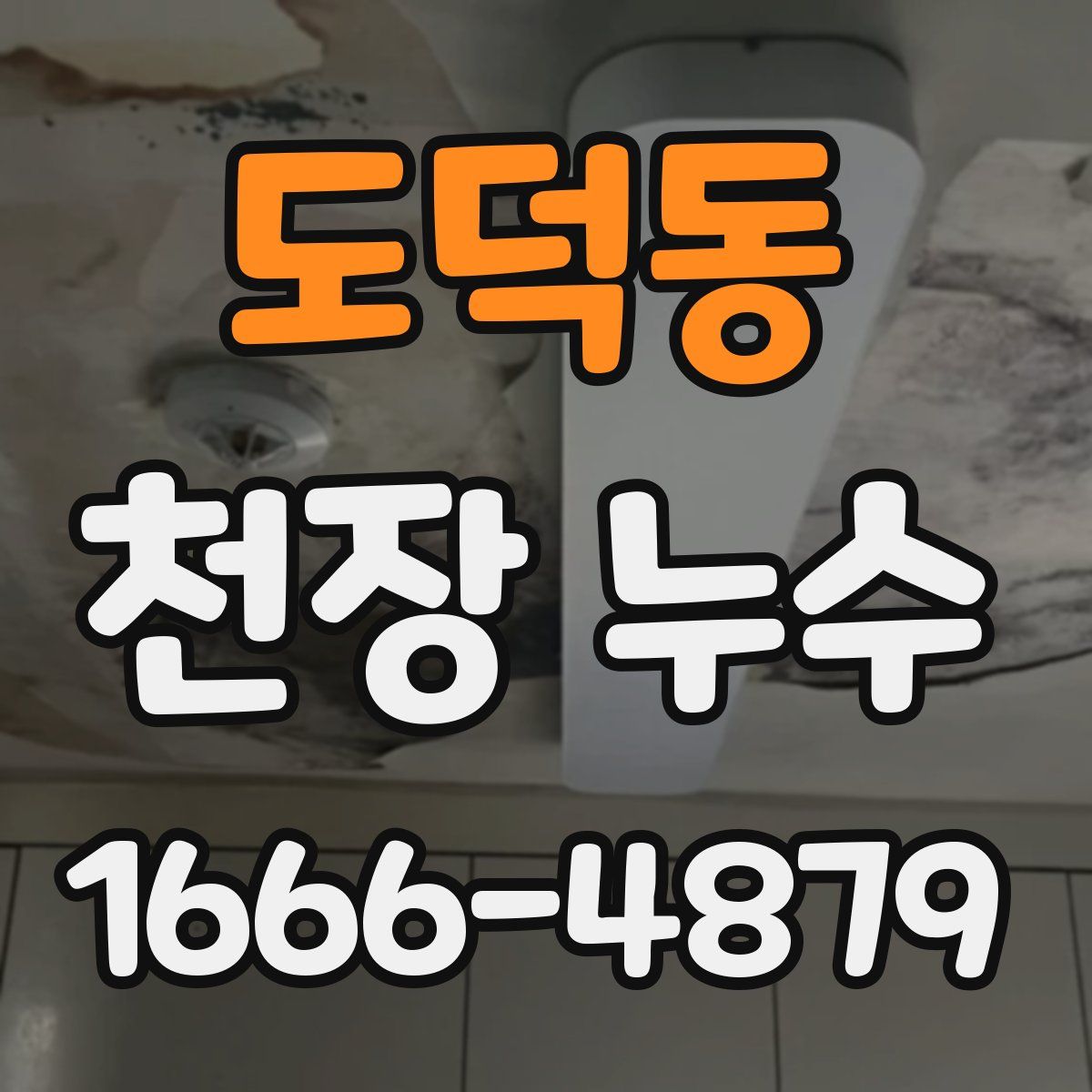도덕동 천장 누수