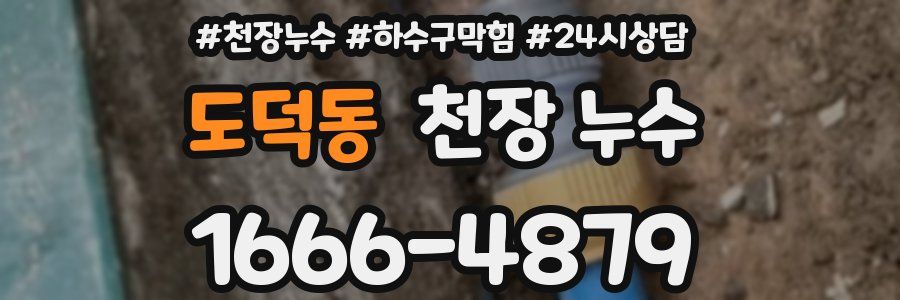 도덕동 천장 누수