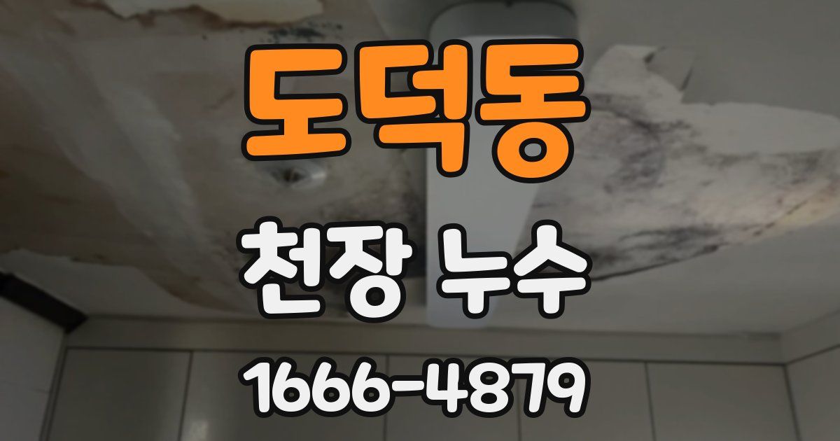 도덕동 천장 누수