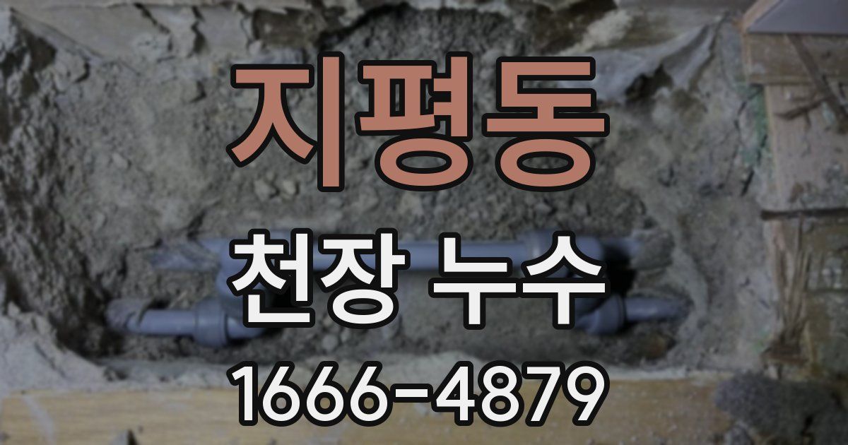 지평동 천장 누수