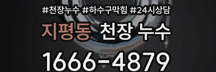 지평동 천장 누수