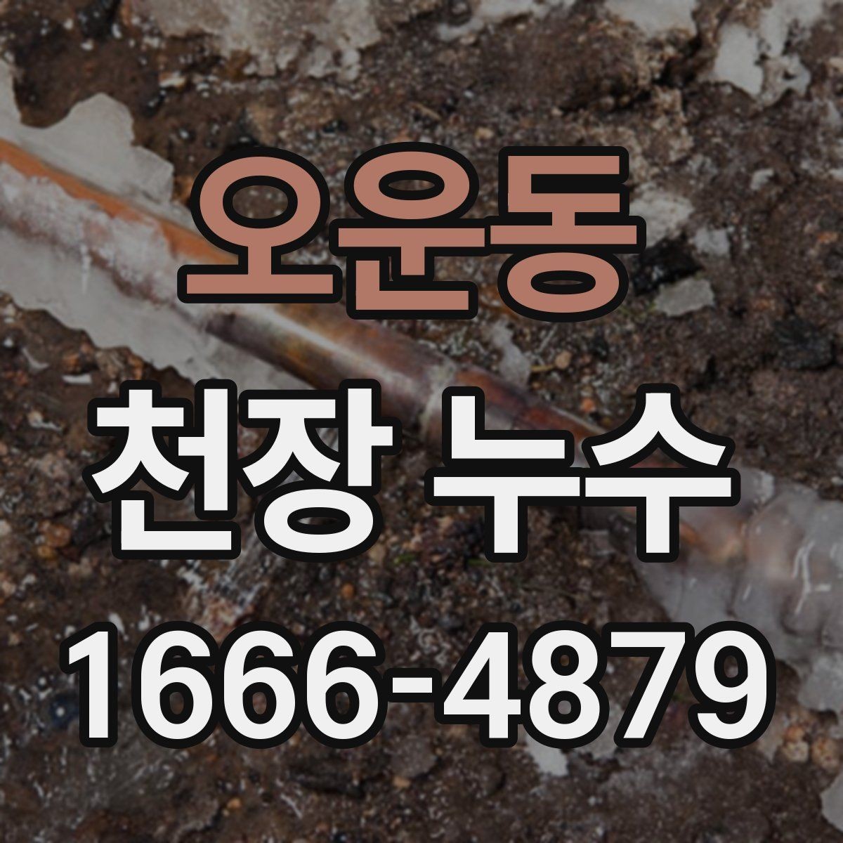 오운동 천장 누수 얼룩이 보이면 복구보다 원인 확인이 먼저입니다