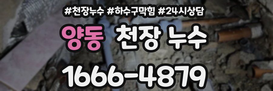 양동 천장 누수