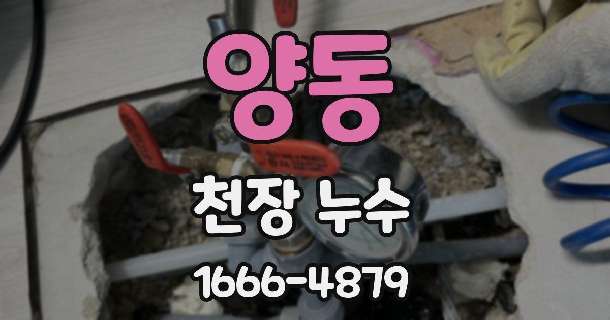 양동 천장 누수