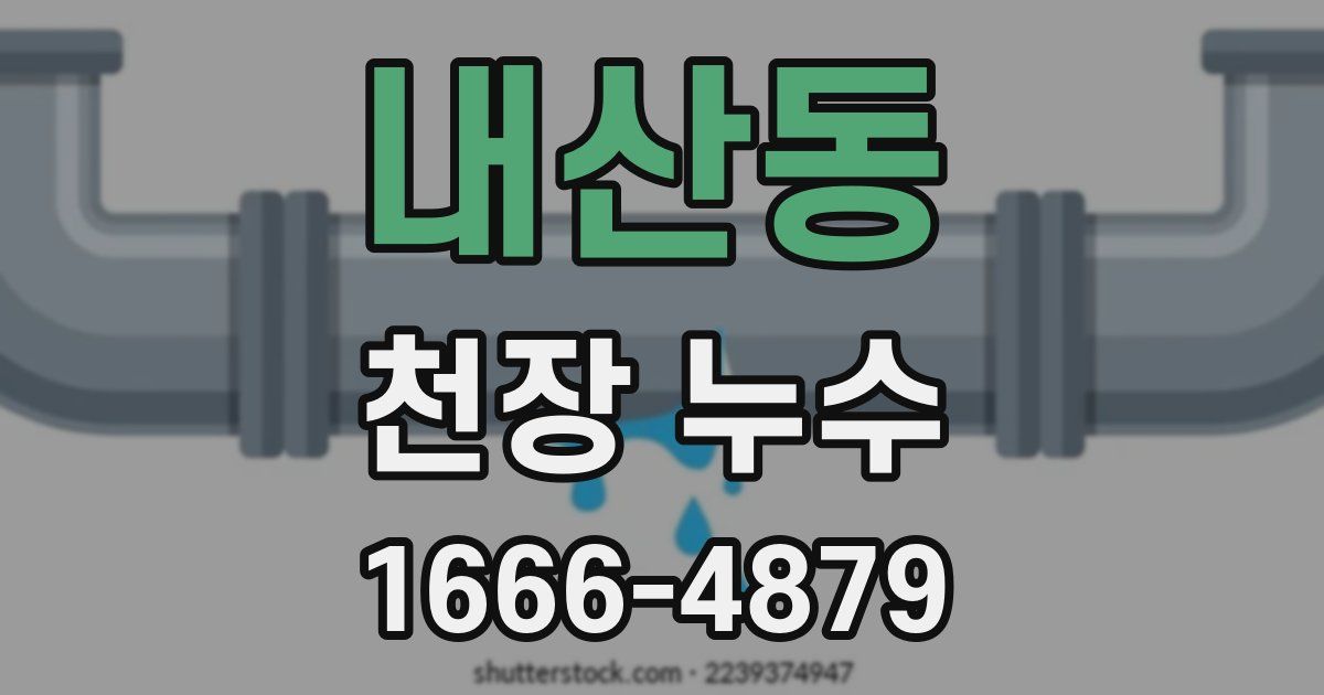 내산동 천장 누수