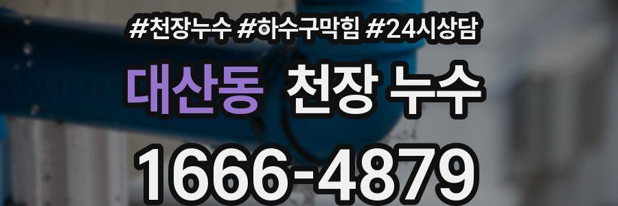 대산동 천장 누수