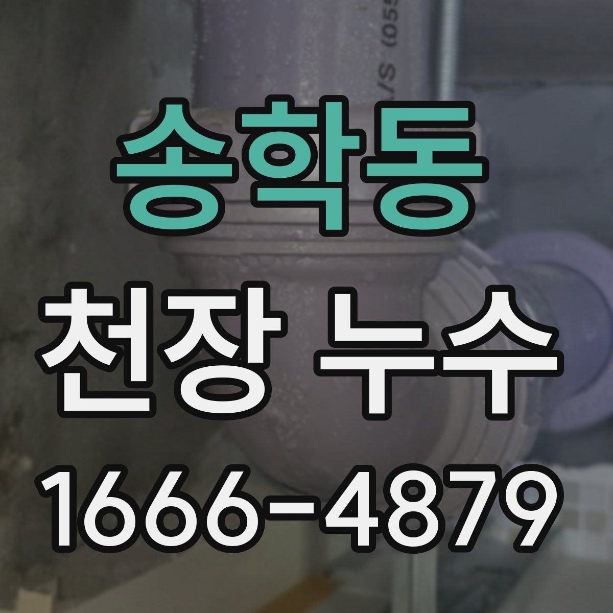 송학동 천장 누수 외부 비샘을 구분하는 방법