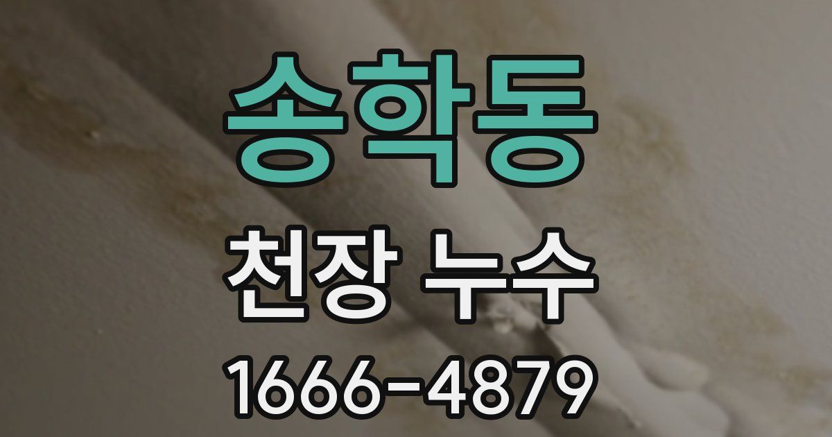 송학동 천장 누수
