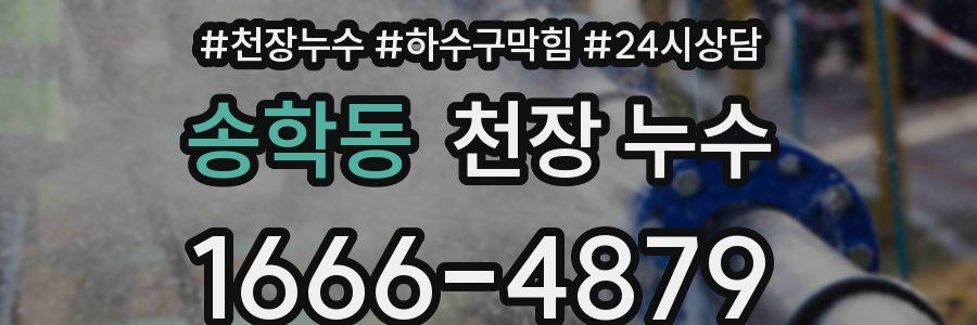 송학동 천장 누수