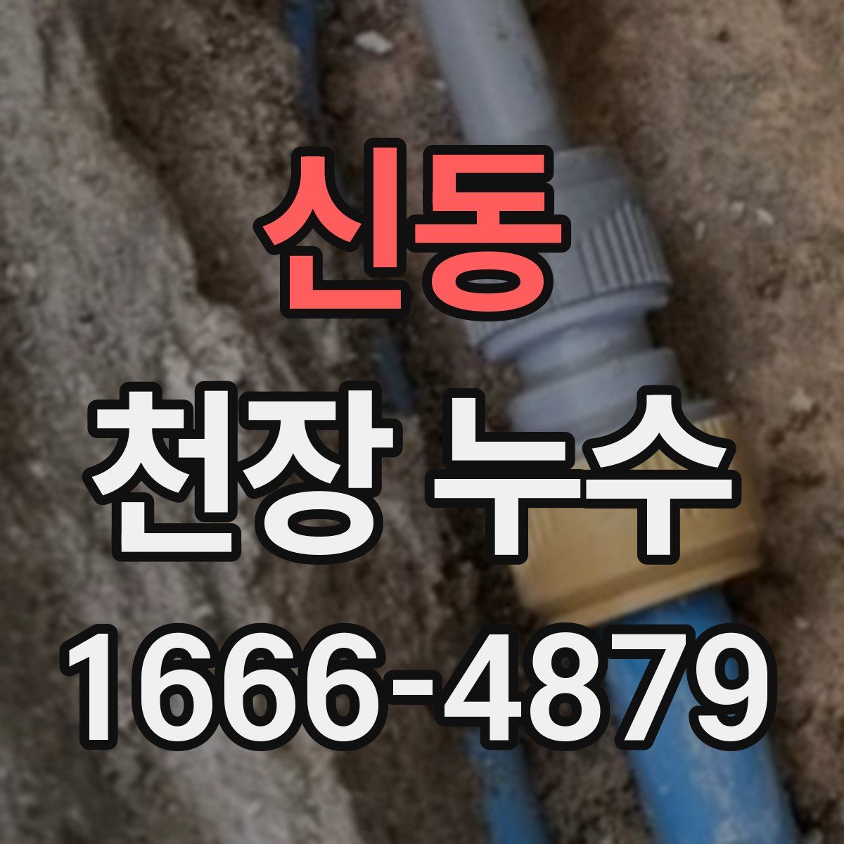 신동 천장 누수