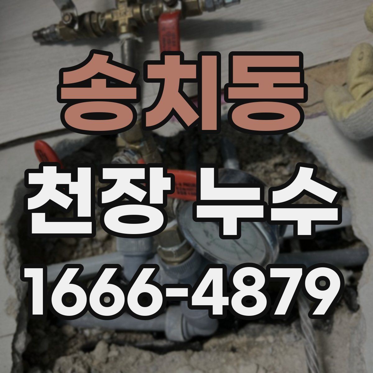 송치동 천장 누수 천장 습기와 누수를 헷갈리지 않게 정리