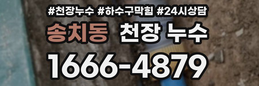 송치동 천장 누수