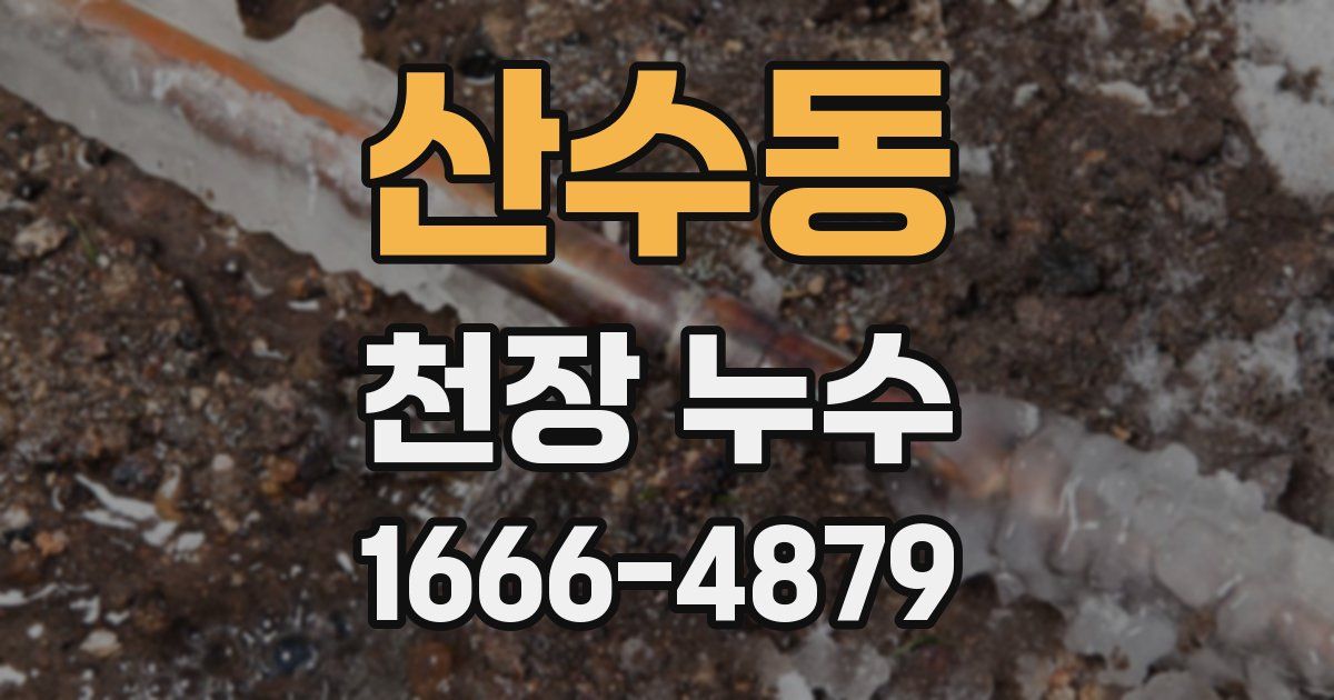 산수동 천장 누수