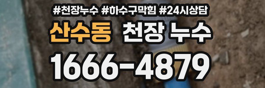 산수동 천장 누수