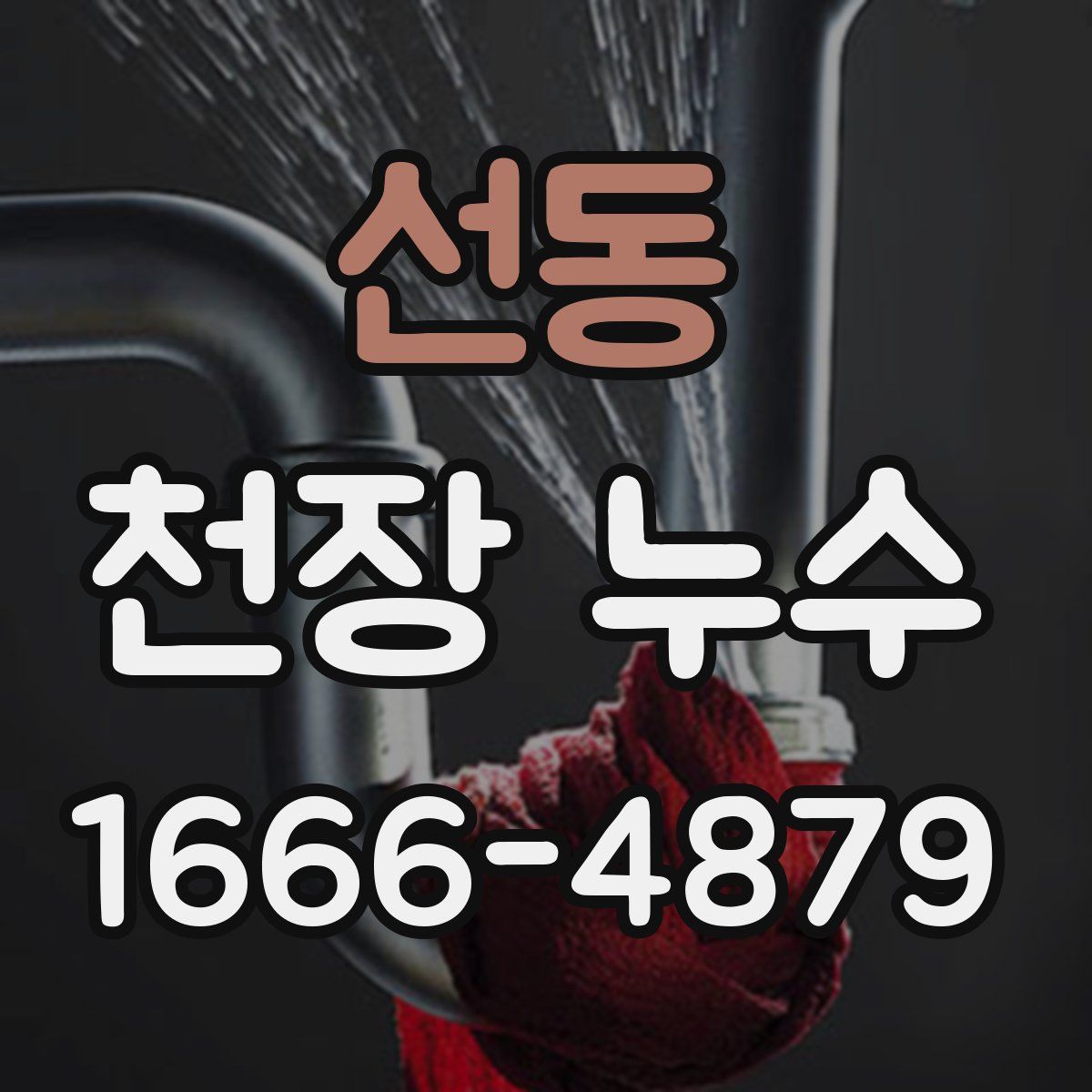 선동 천장 누수