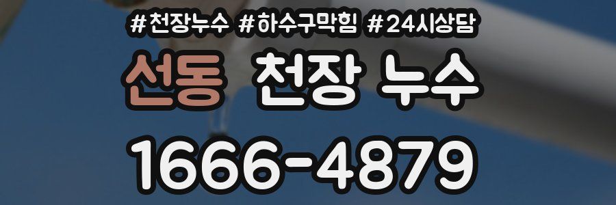 선동 천장 누수