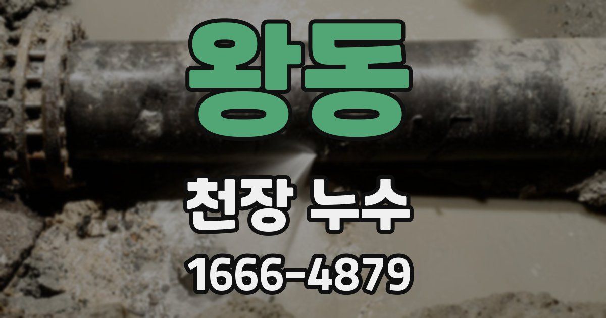 왕동 천장 누수