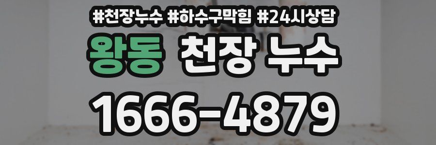 왕동 천장 누수