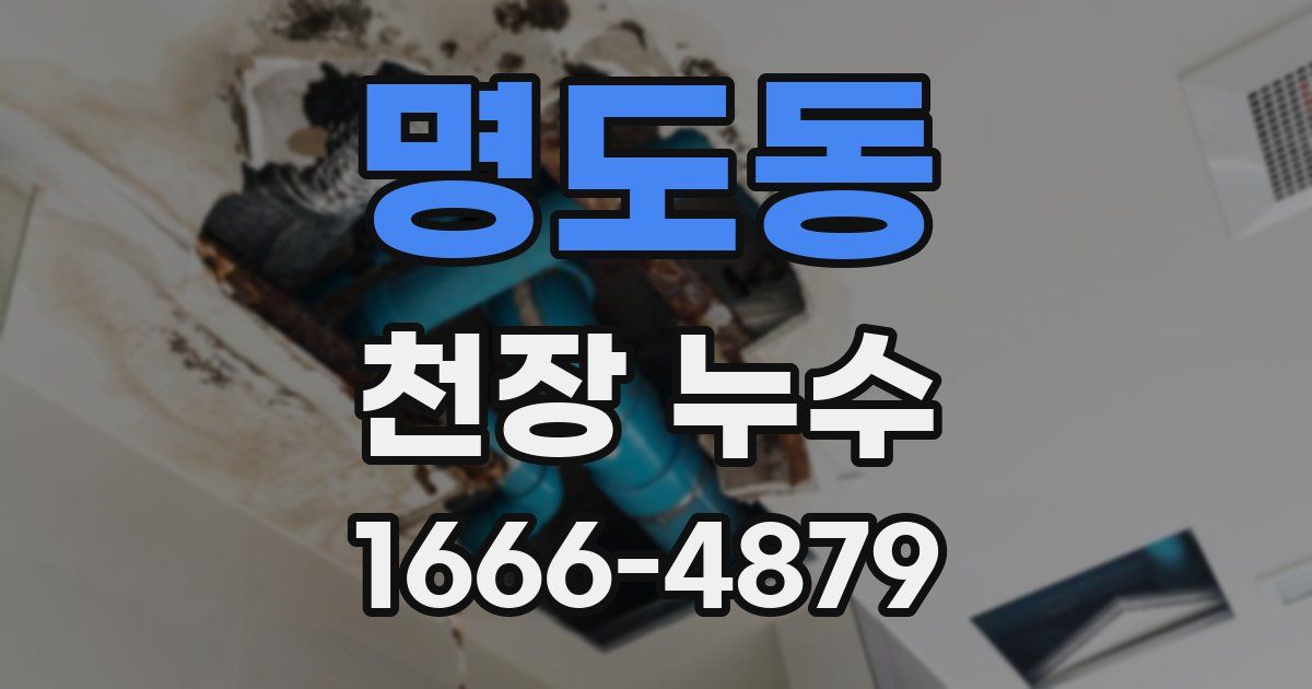 명도동 천장 누수