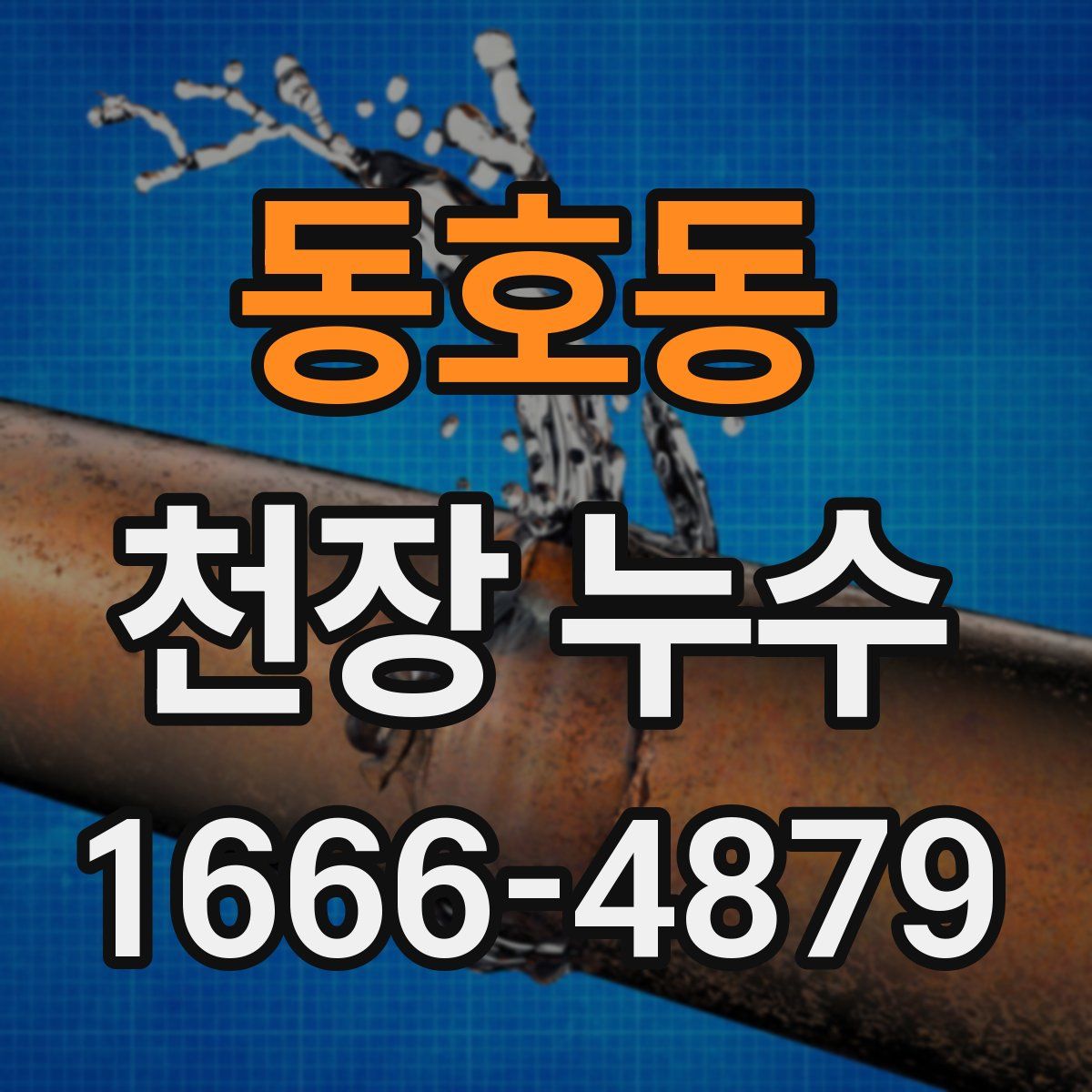 동호동 천장 누수