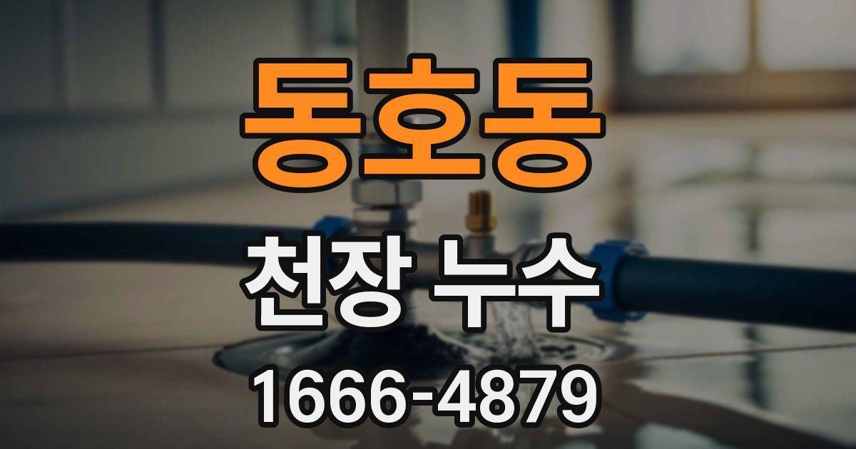 동호동 천장 누수