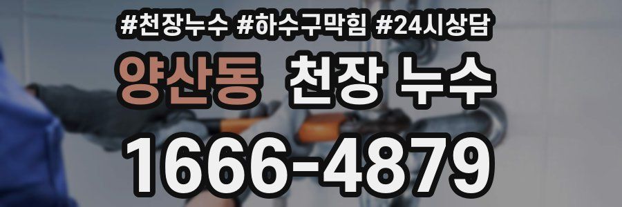 양산동 천장 누수