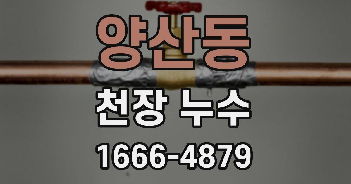 양산동 천장 누수