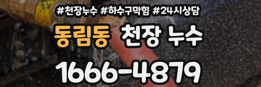 동림동 천장 누수