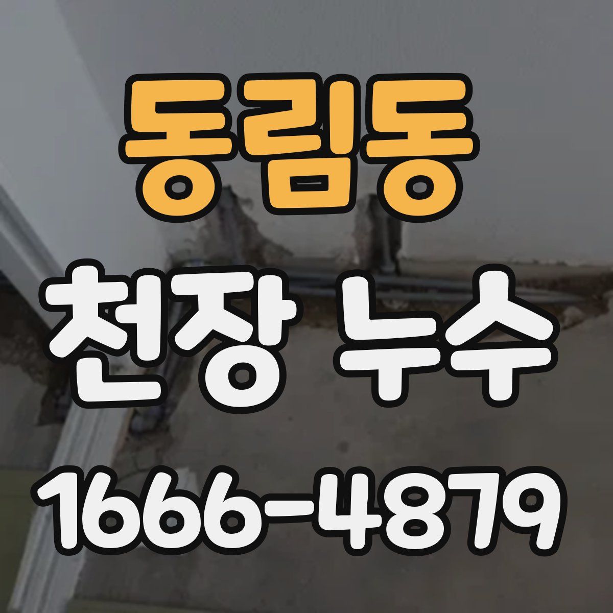 동림동 천장 누수