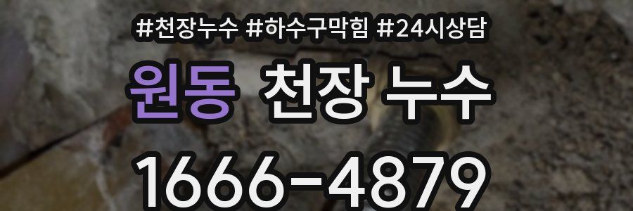 원동 천장 누수