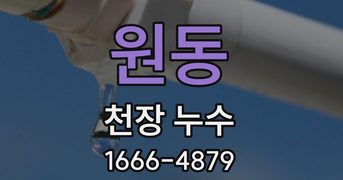 원동 천장 누수