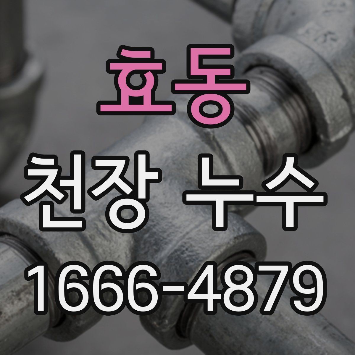 효동 천장 누수 원인 파악부터 정리해 드립니다