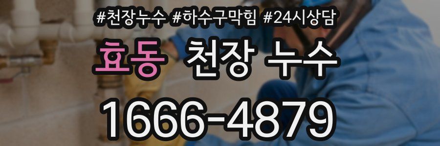 효동 천장 누수