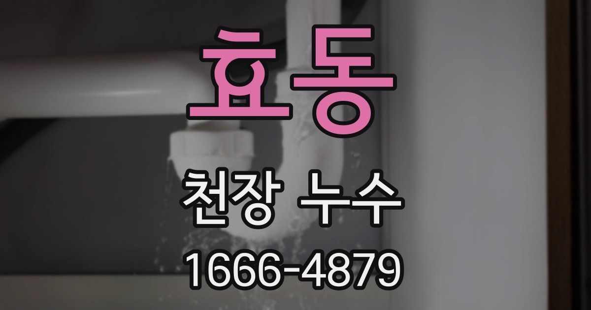 효동 천장 누수