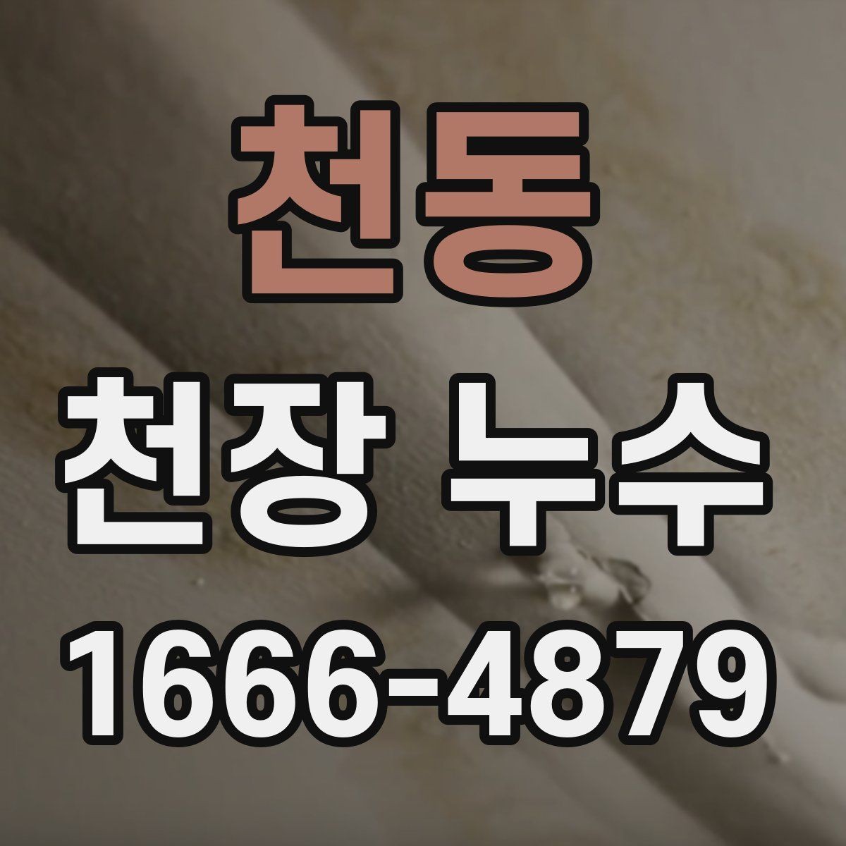 천동 천장 누수 천장 가까이에서 퀴퀴한 냄새가 올라올 때
