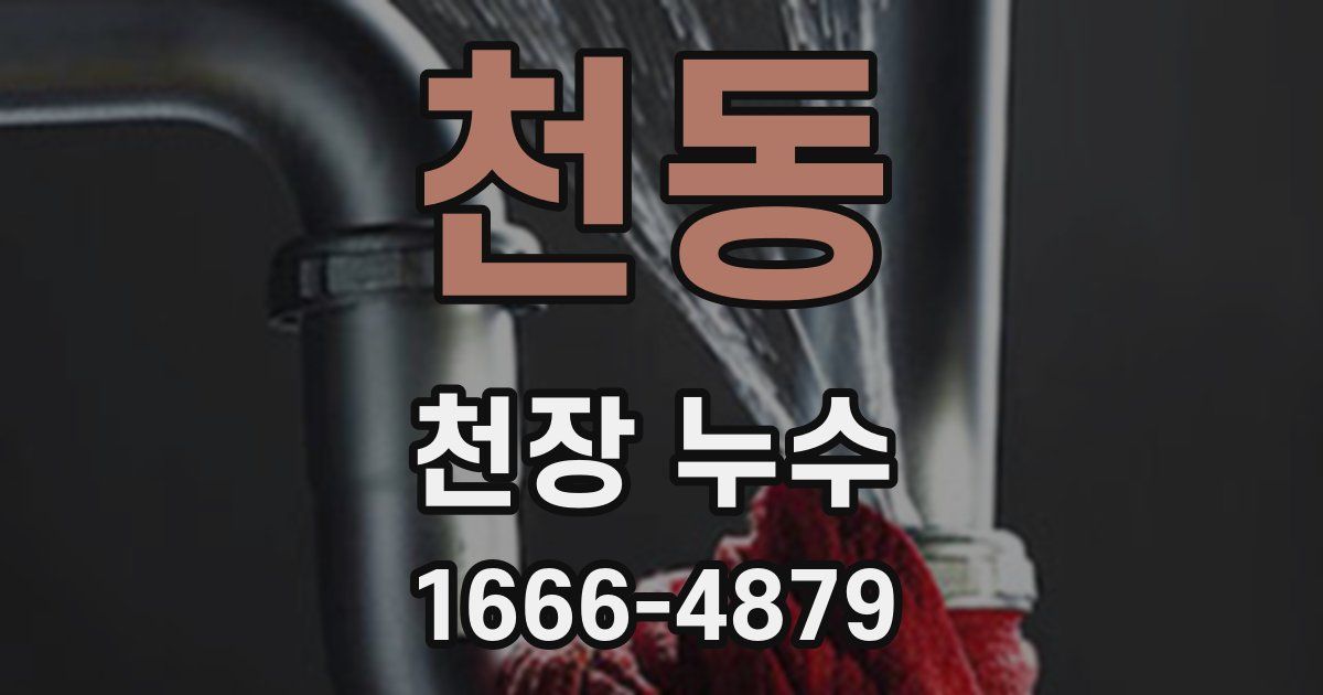 천동 천장 누수