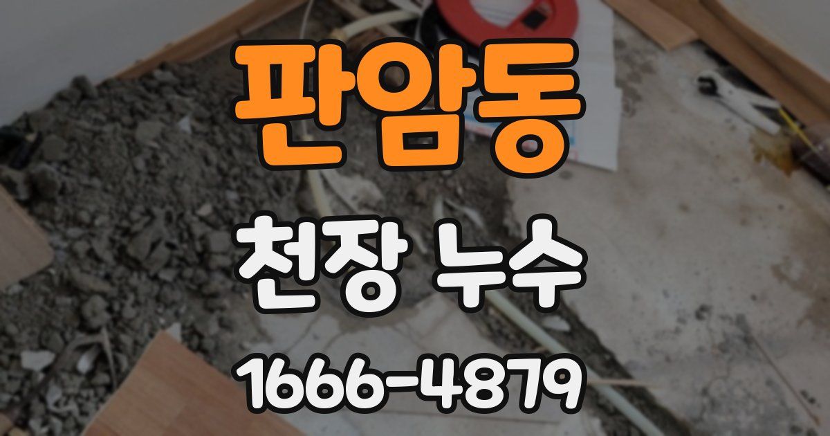 판암동 천장 누수