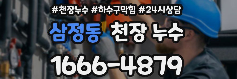 삼정동 천장 누수