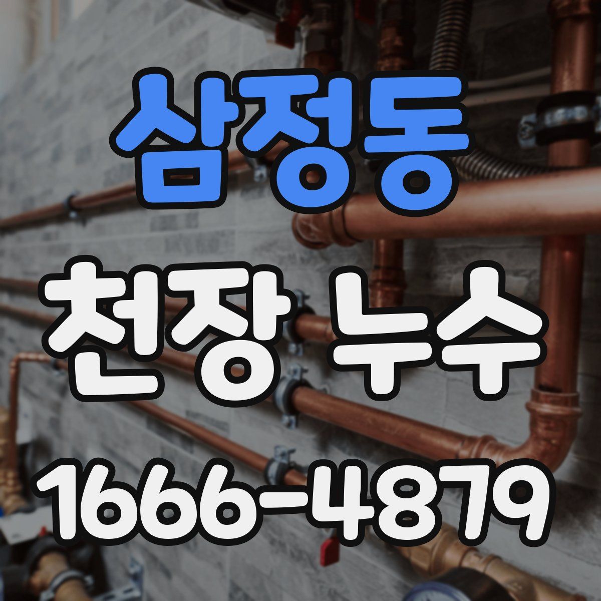 삼정동 천장 누수