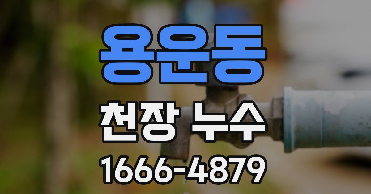 용운동 천장 누수