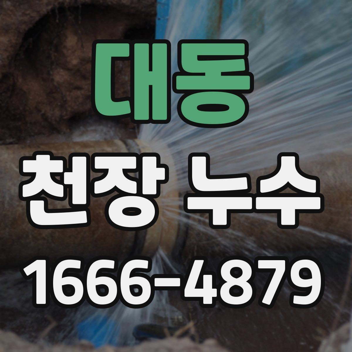 대동 천장 누수 위층 화장실 사용 후 천장이 젖는다면