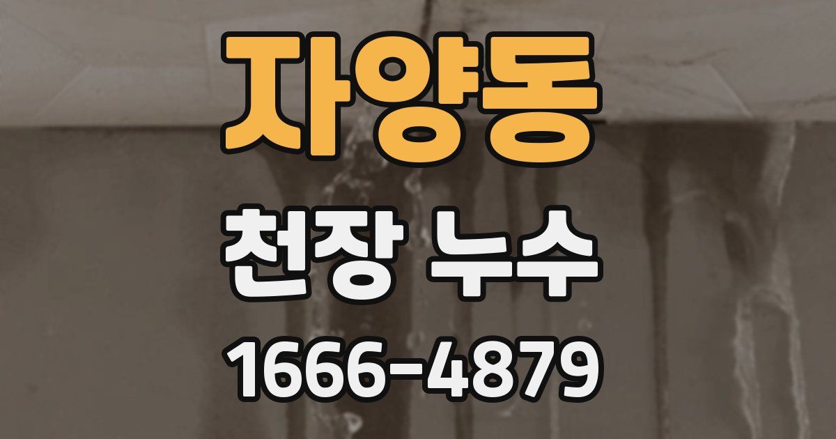자양동 천장 누수