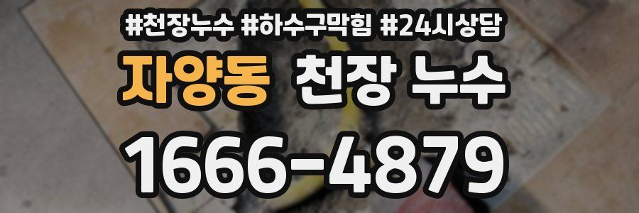 자양동 천장 누수