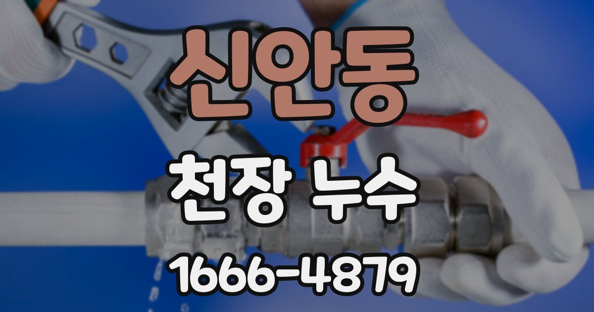 신안동 천장 누수